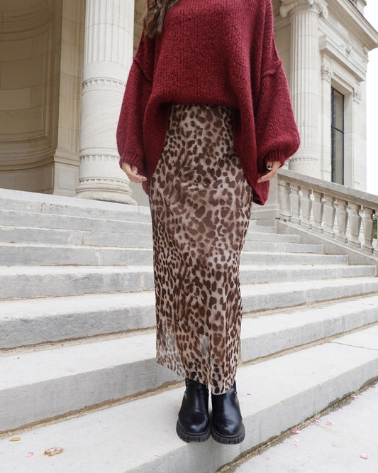 Mesh Leo Rock